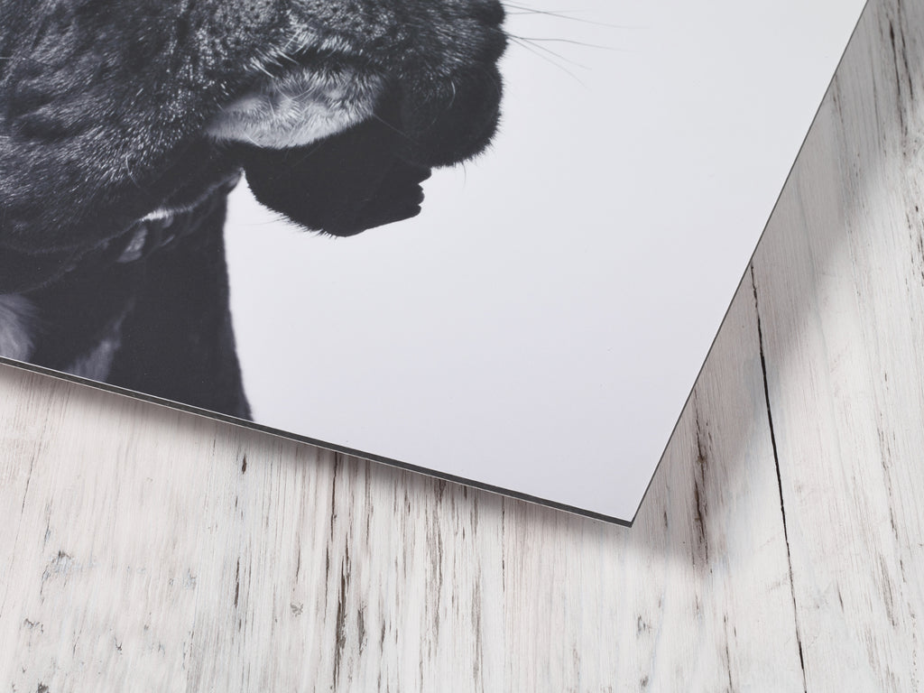 Custom Aluminium Dibond Print