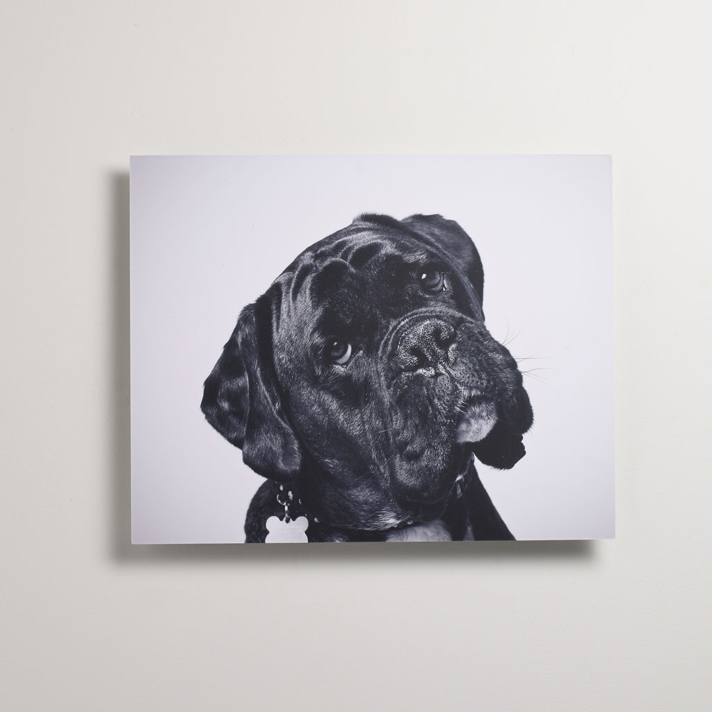 Custom Aluminium Dibond Print