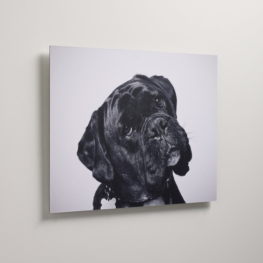 Custom Aluminium Dibond Print