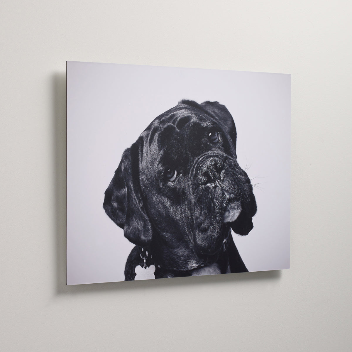 Custom Aluminium Dibond Print